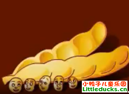 安徒生童话一个豆荚里的五粒豆视频