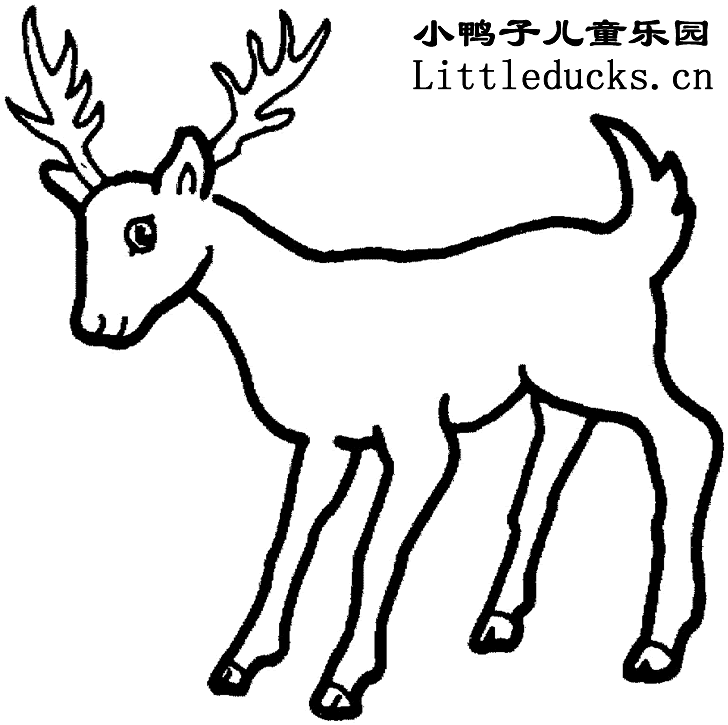 动物简笔画大全:鹿的简笔画图片
