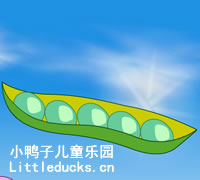 安徒生童话故事动画片:五颗豌豆
