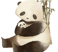 儿童画画大全:大熊猫