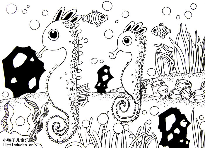 儿童线描画作品欣赏:可爱的小海马