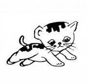 可爱的小猫的简笔画
