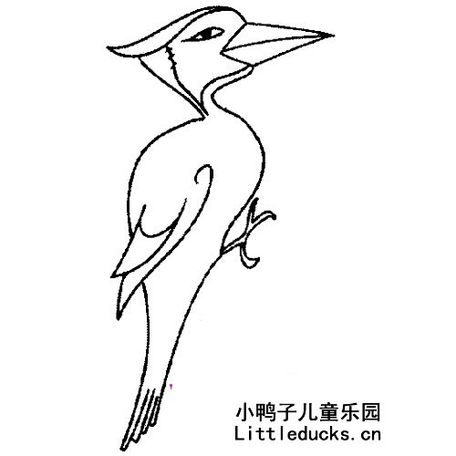 啄木鸟的简笔画图片大全6