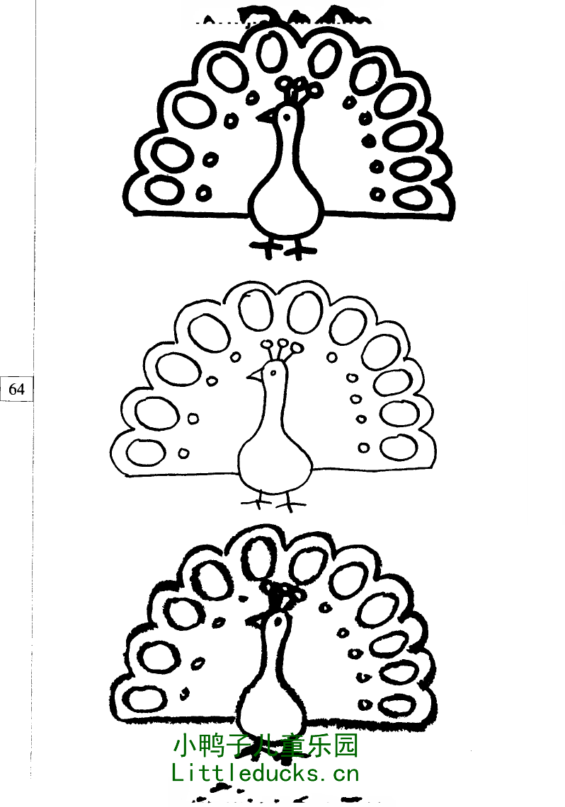 动物简笔画图片大全:美丽的孔雀简笔画2