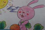 拔萝卜的小兔铅笔画图片大全