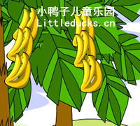 幼儿故事视频:香蕉