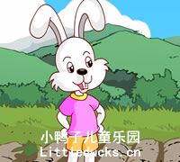 幼儿故事视频:兔子