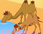 寓言故事动画片老骆驼和小骆
