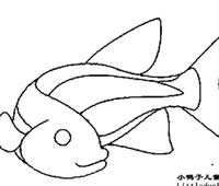 各种鱼的简笔画图片