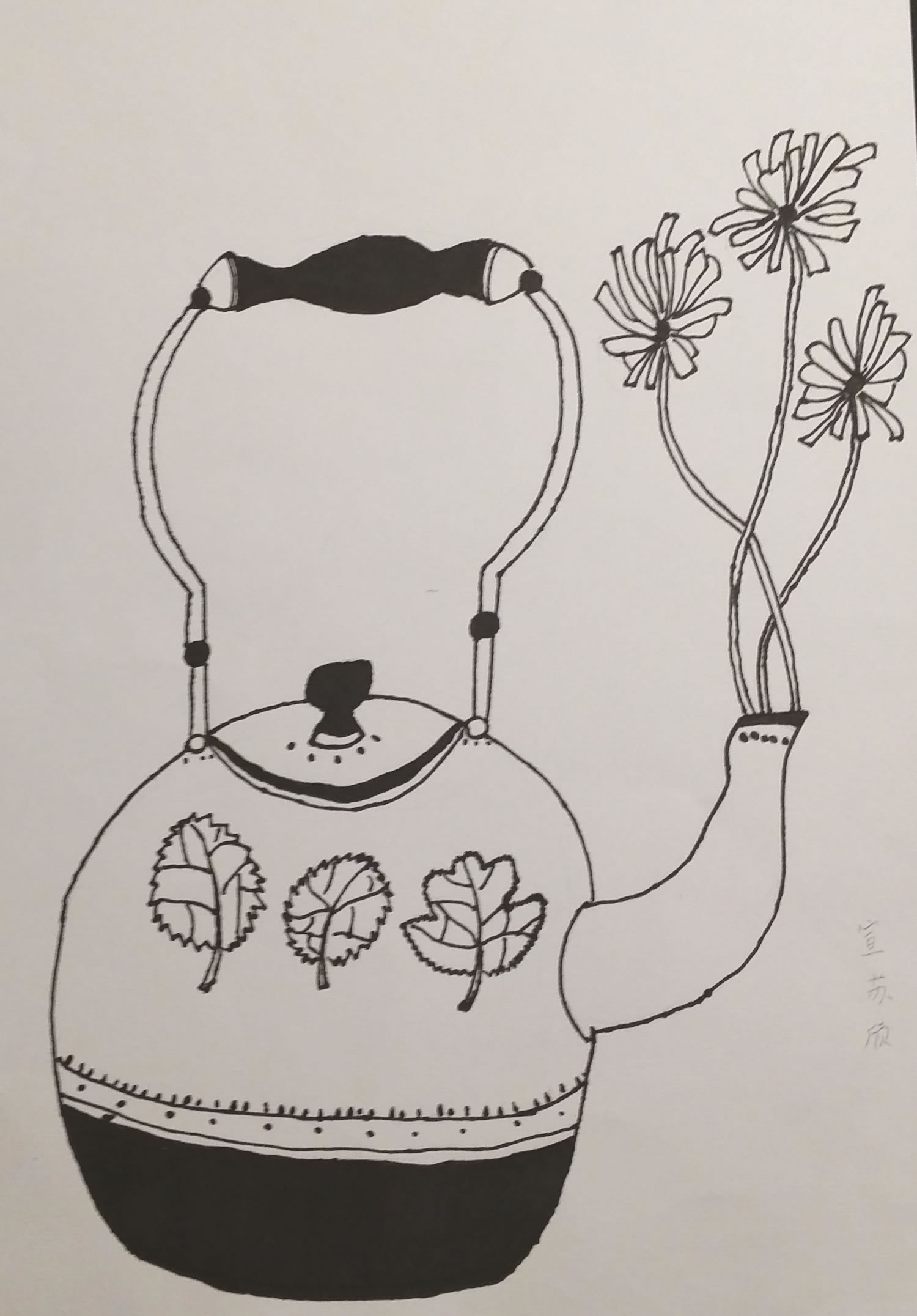 丁丁线描画作品:茶壶花瓶