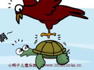 儿童故事想飞的乌龟视频下载