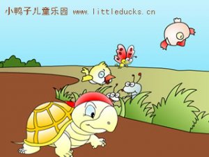中文儿歌flash小金龟