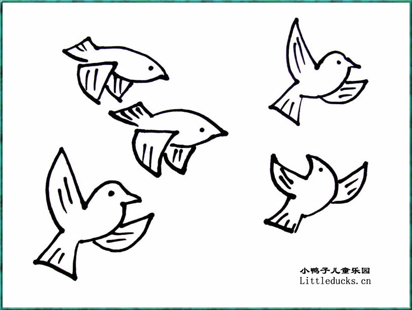 小鸟的简笔画十五各种形态的小鸟图片