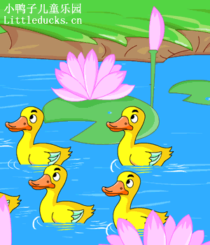 英语儿歌视频eight yellow ducks下载