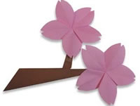 儿童折纸花之梅花的折叠方法