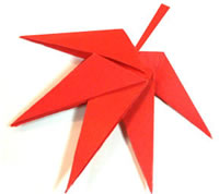 幼儿折纸大全:枫叶的折叠方法