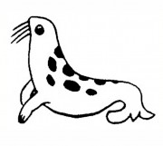 幼儿简笔画图片大全:动物简笔画海豹