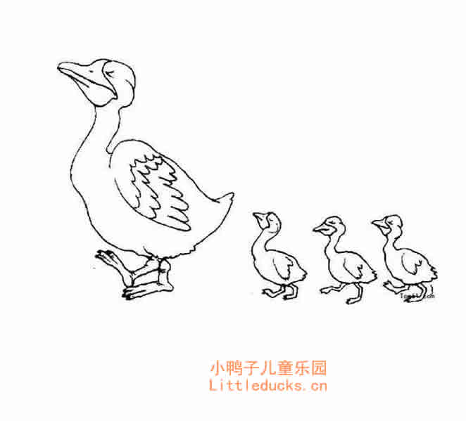 母鸭子和小鸭子简笔画图片