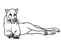 儿童简笔画教程:母狮子简笔画画法2