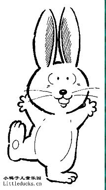 动物简笔画大全:小兔